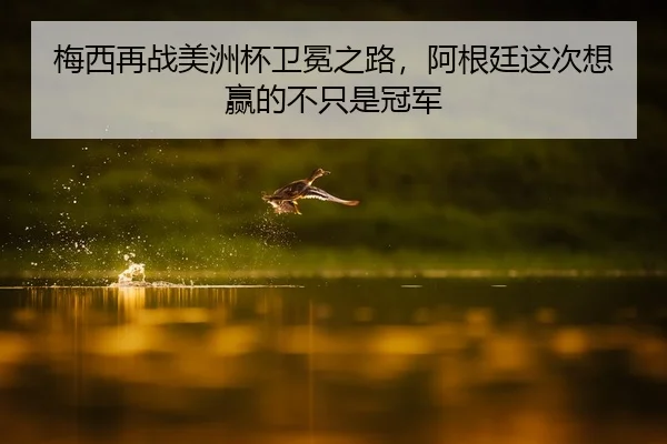 梅西再战美洲杯卫冕之路，阿根廷这次想赢的不只是冠军